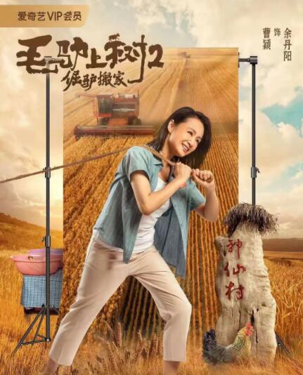 丁香六月婷婷综合