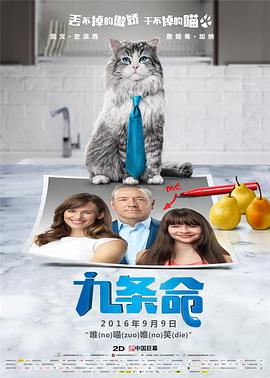 超级奶爸电影高清免费观看